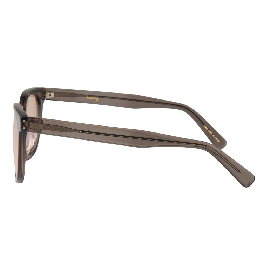 adams　clear gray　brown lens