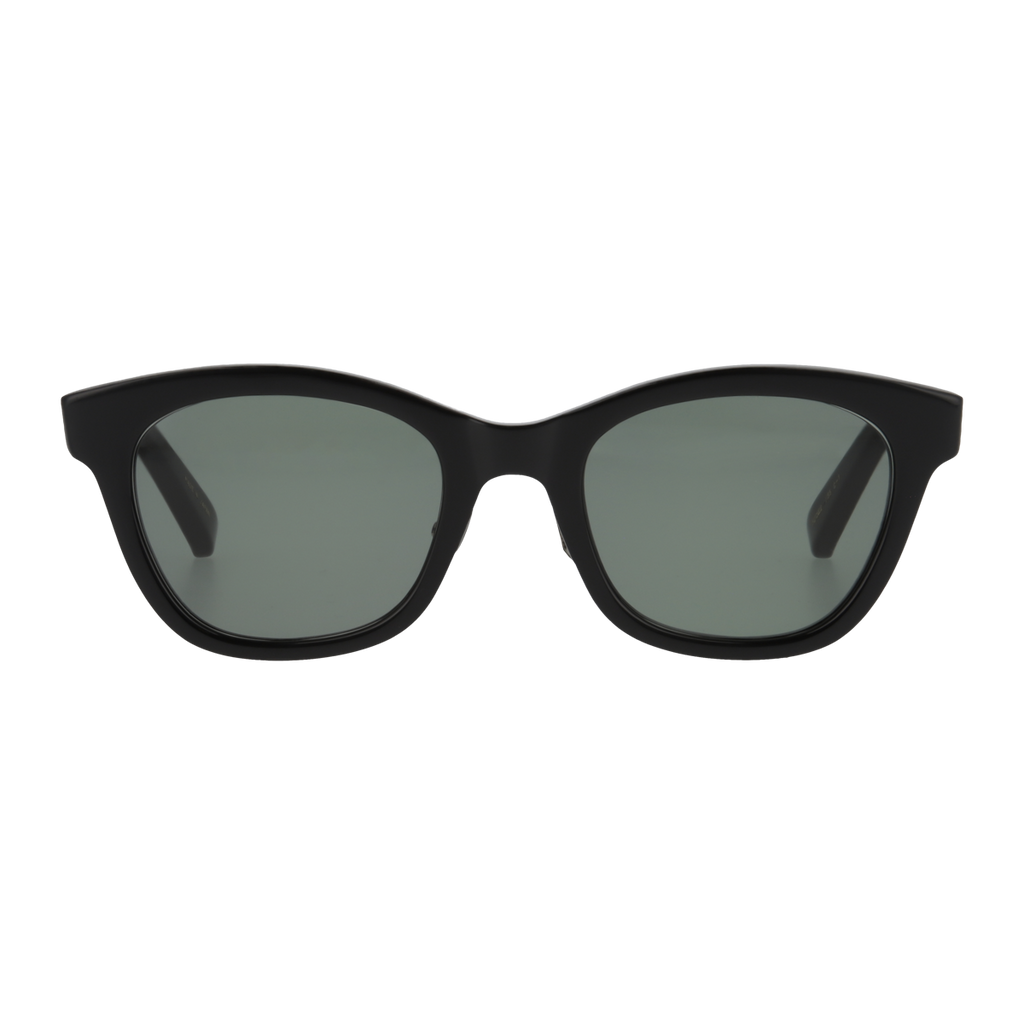 hobby　black　dark green lens